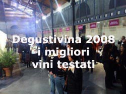 degustivina2008-home2