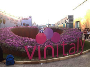 vinitaly 2014 ingresso